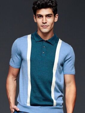 GAP x David Hart Knit Polo Shirt sweater Size Large Blue Stripe  merino wool